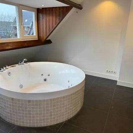 Stylish 1-bedroom In Eindhove